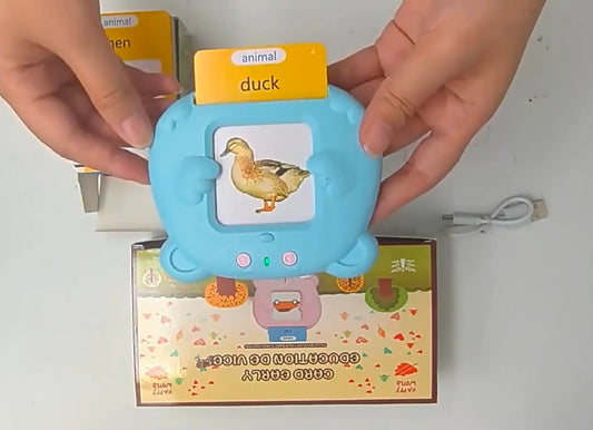Preschool Learning Toy Flash Cards 224 Words | Kids Educational Gift | Ages 1-6